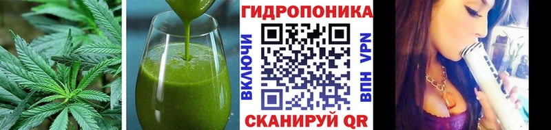 Canna-Cookies марихуана  где купить наркотик  Шебекино 