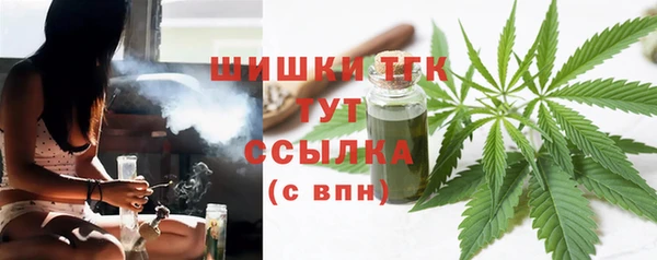 PSILOCYBIN Покров