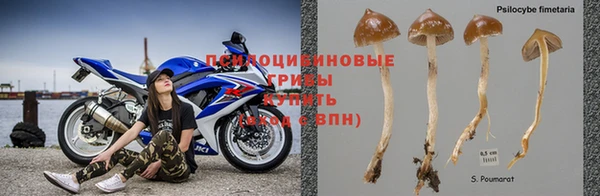 экстази Беломорск